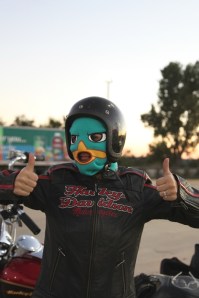 Sometimes it just gets so chilly only Perry the Platypus will do. I love this gal.